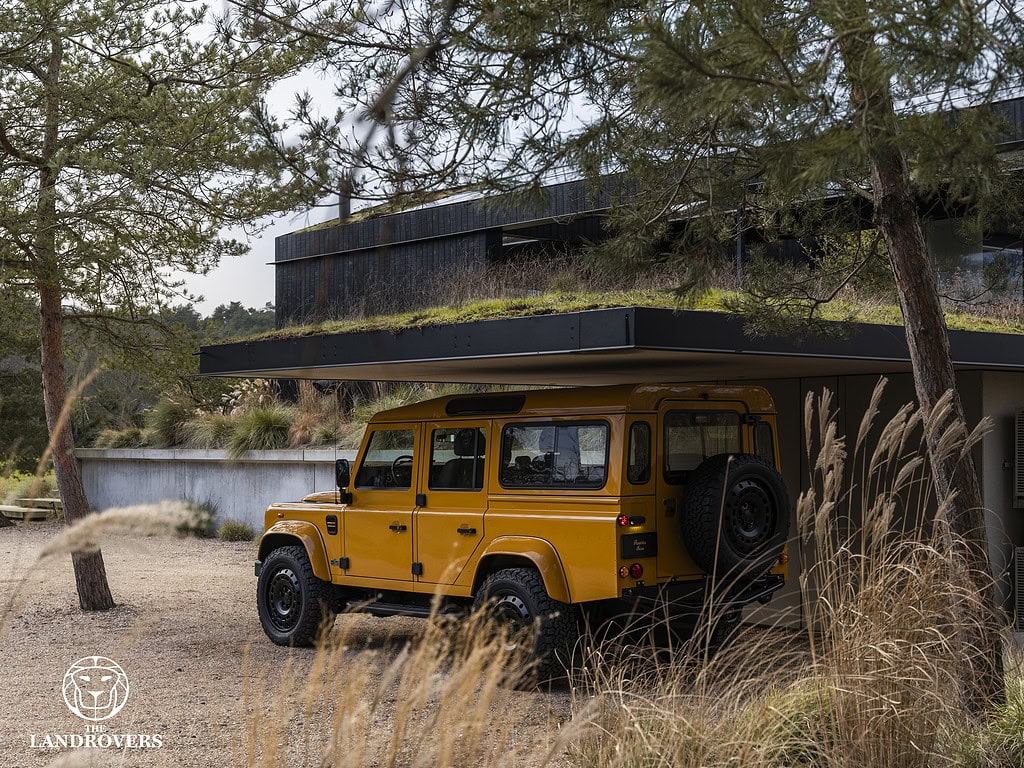 Panterra Ibiza