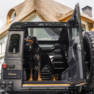 Custom Land Rover Defender