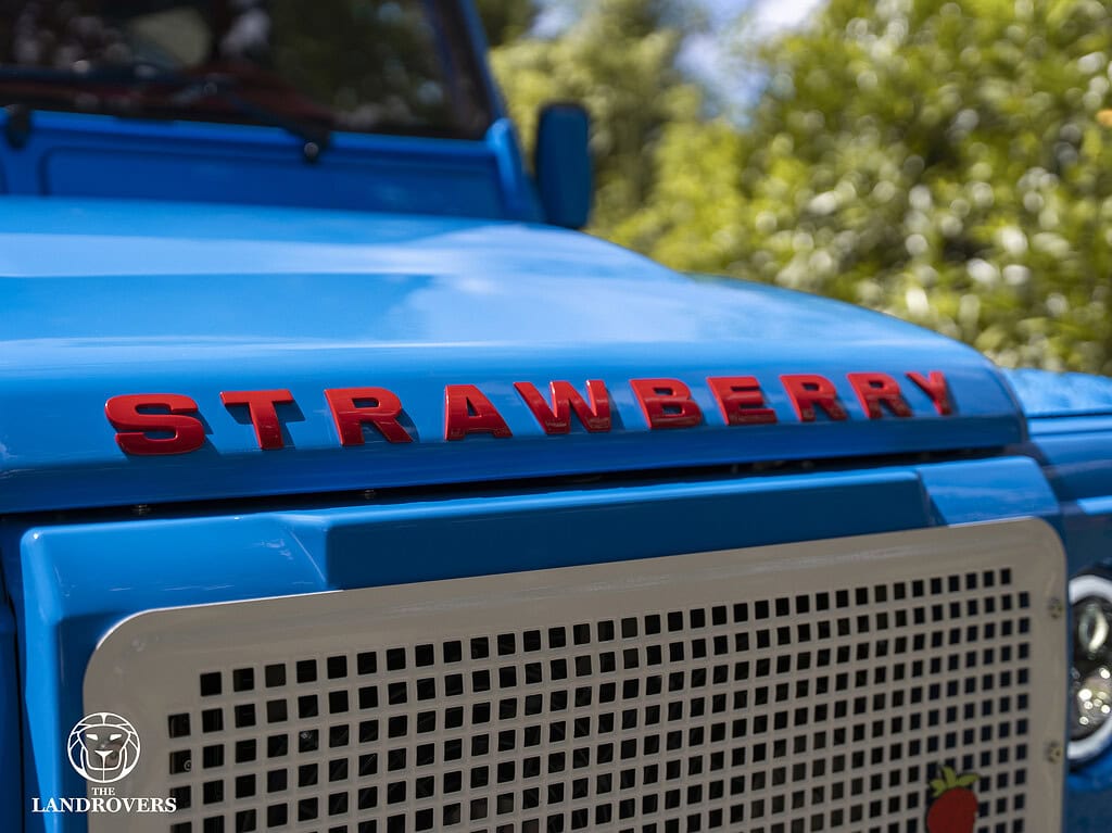 grille of the bespoke Panterra Defender that almost broke the internet