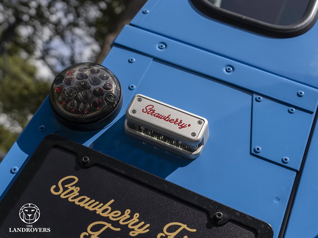 Panterra Strawberry Fields Forever